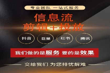 专业SEM服务公司案例分析报告
